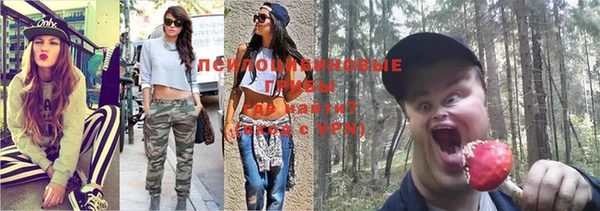мет Нягань