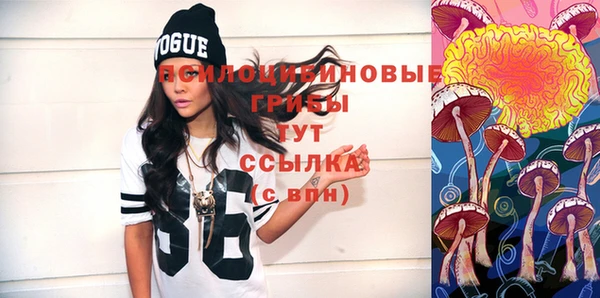 шишки Новодвинск
