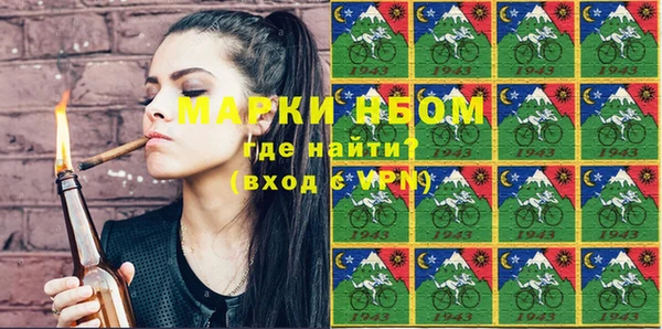 дурь Няндома
