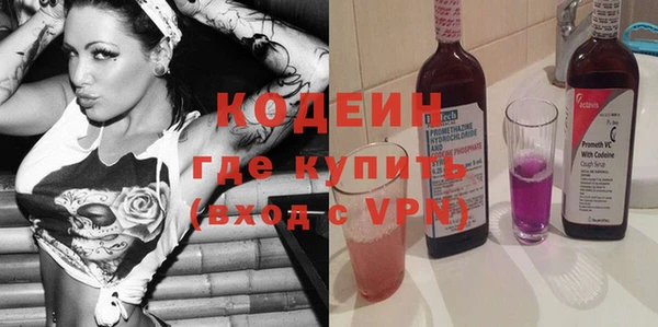 дурь Няндома