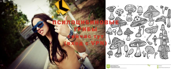 дурь Няндома