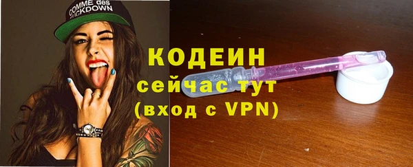 шишки Новодвинск