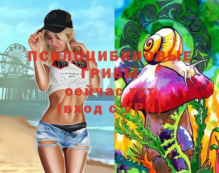 Галлюциногенные грибы Magic Shrooms  мега зеркало  Лысково 