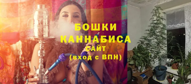 купить закладку  Лысково  Конопля OG Kush 